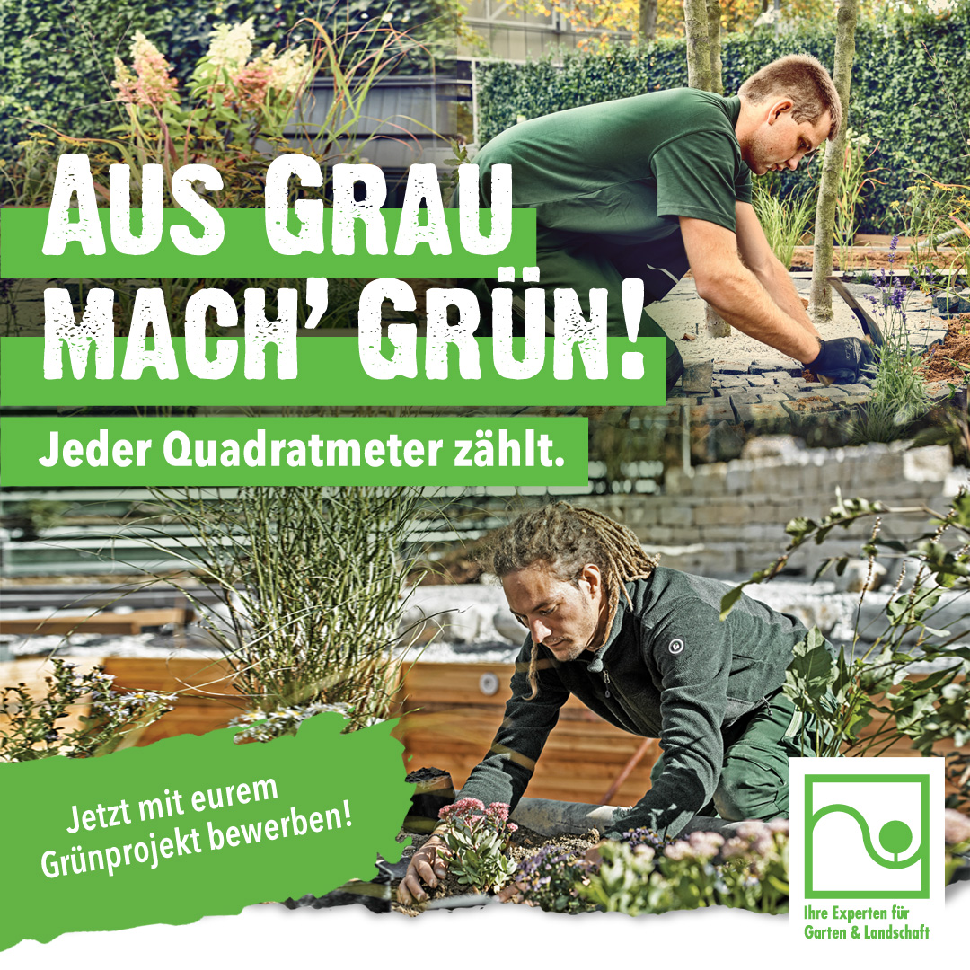 Aus Grau mach‘ Grün! 