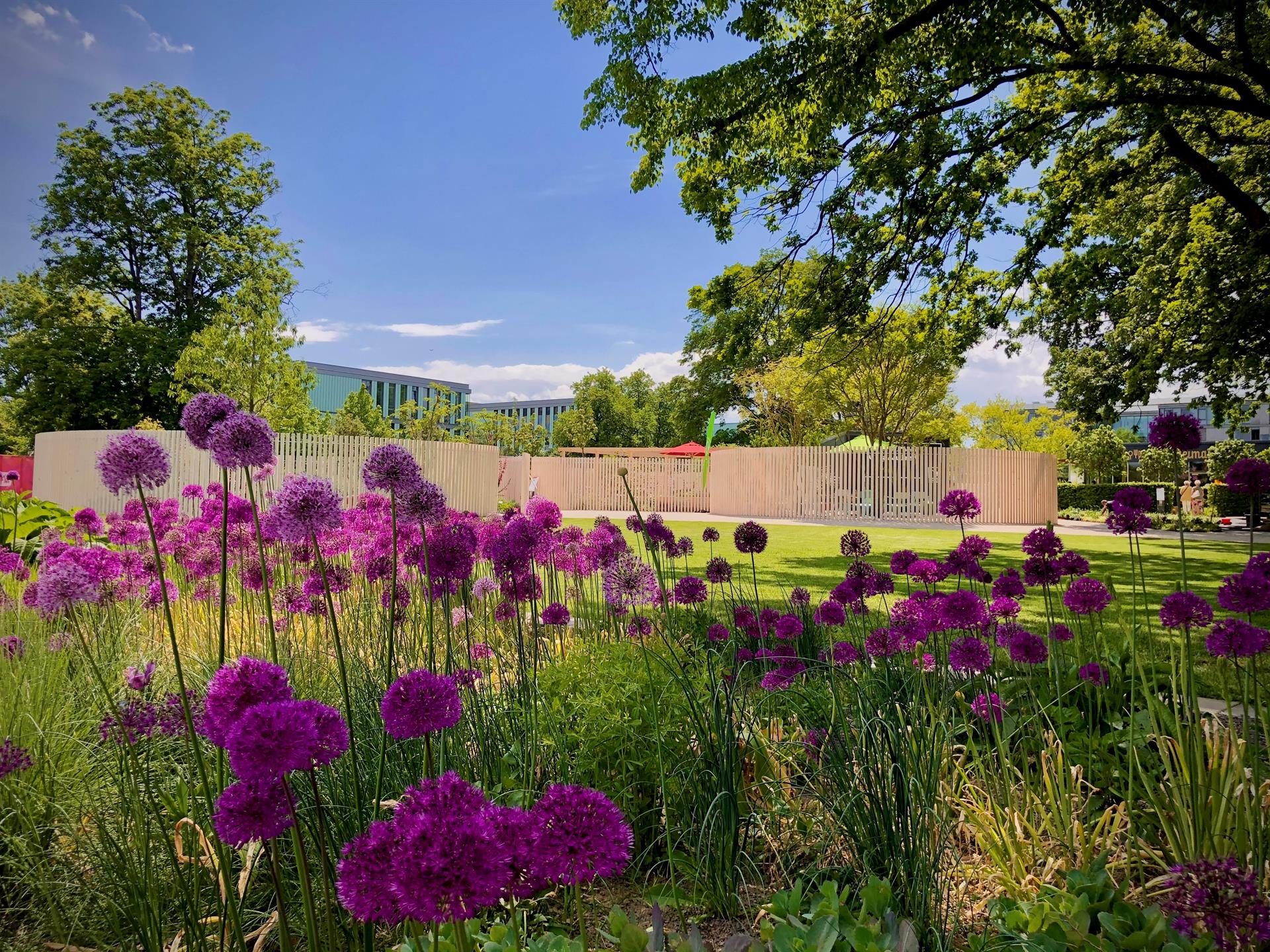 25 Jahre blühendes Thüringen: Eine Erfolgsgeschichte der Landesgartenschauen