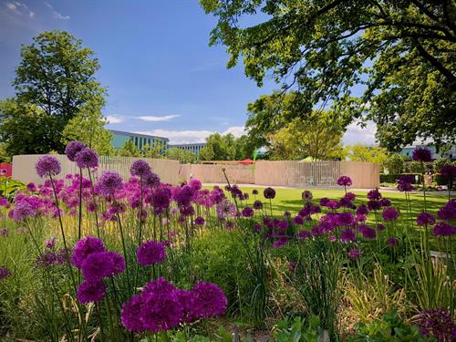 25 Jahre blühendes Thüringen: Eine Erfolgsgeschichte der Landesgartenschauen